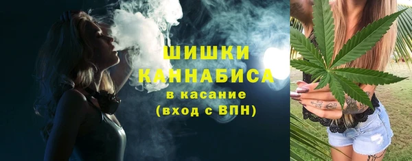 индика Снежногорск
