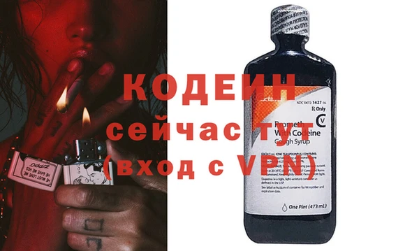 индика Снежногорск