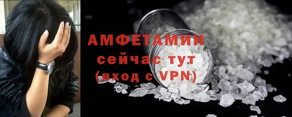 индика Снежногорск