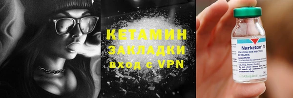индика Снежногорск