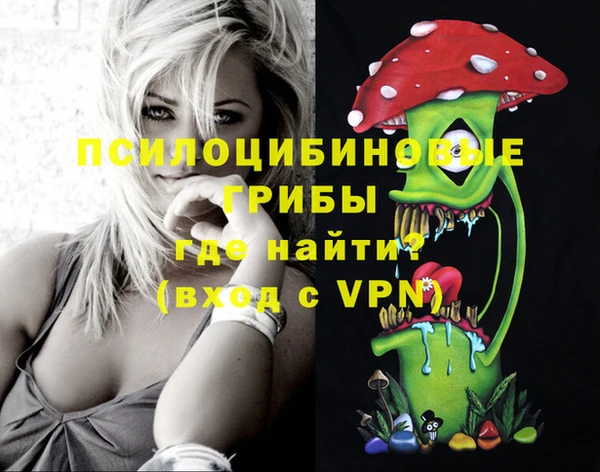 индика Снежногорск
