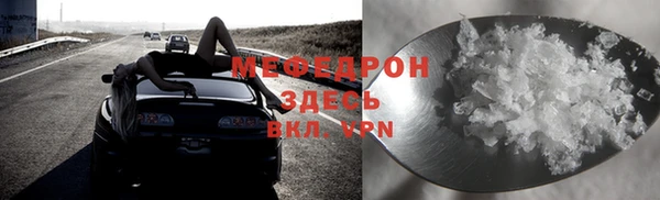 индика Снежногорск