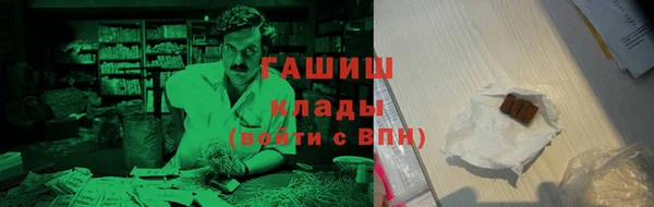 индика Снежногорск