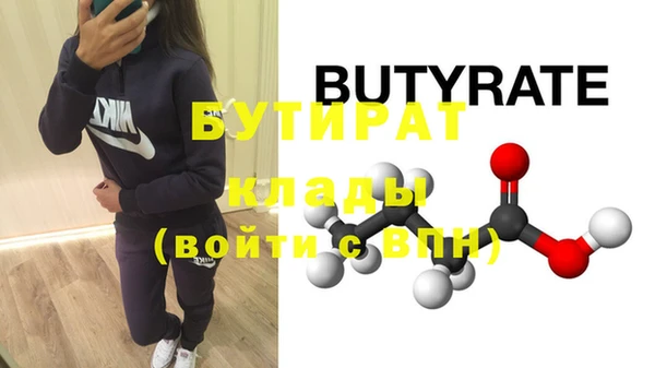 индика Снежногорск