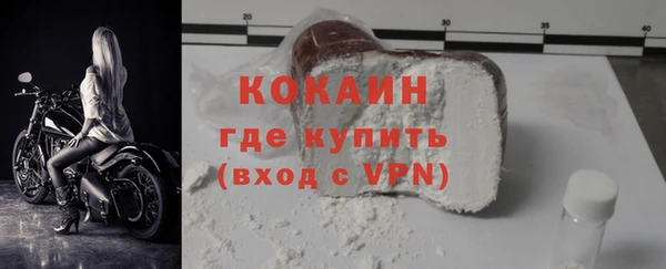 индика Снежногорск