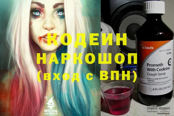 индика Снежногорск