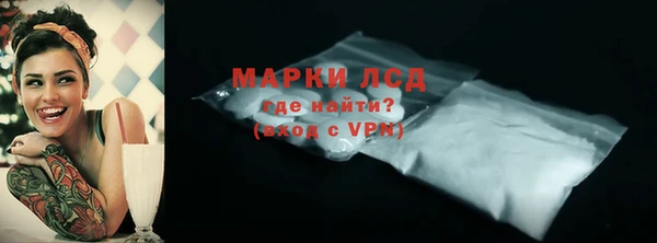 индика Снежногорск