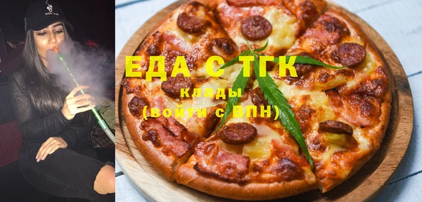 индика Снежногорск