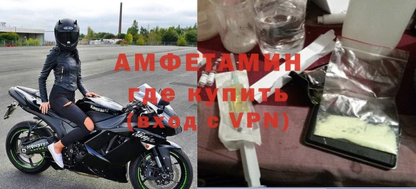 индика Снежногорск