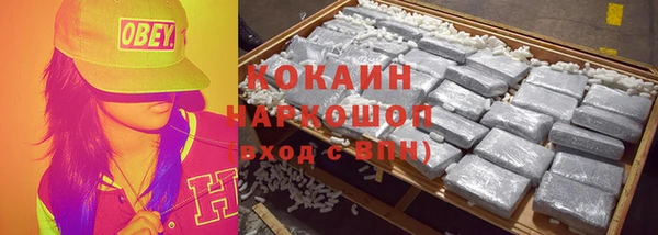 индика Снежногорск