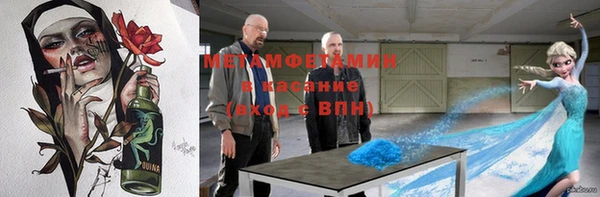 индика Снежногорск