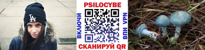 Псилоцибиновые грибы GOLDEN TEACHER  Сим 